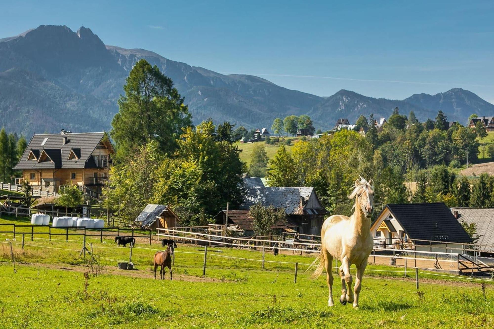 Rent Like Home - Willa Zoniowka Premium Zakopane Exterior foto